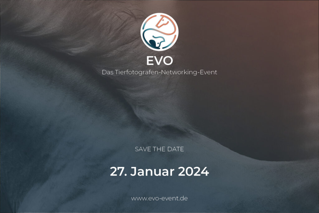 (c) Evo-event.de