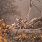20240509-Nala-23_web