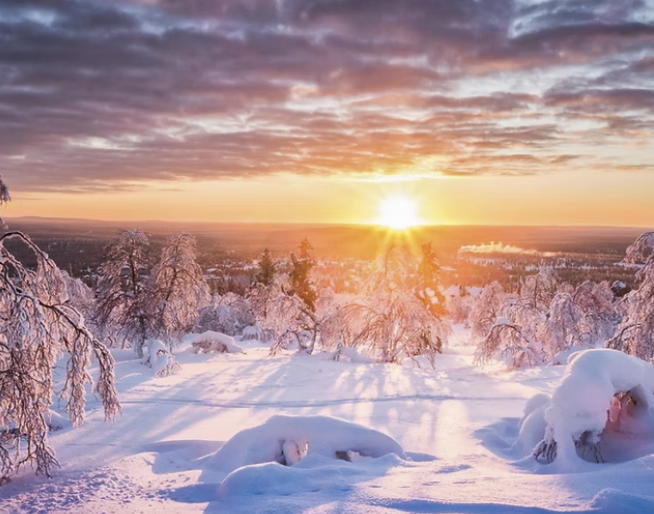 \"Lappland-Pferde\"
