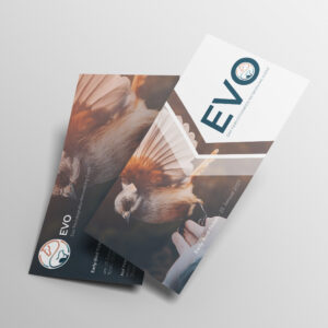 EVO Early-Bird-Ticket