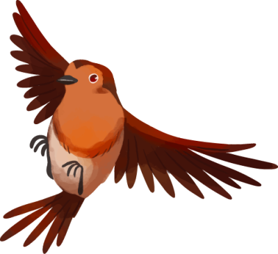 BirdRobin