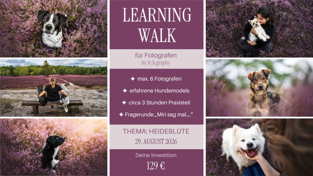 Learning Walk by fe.li.graphy