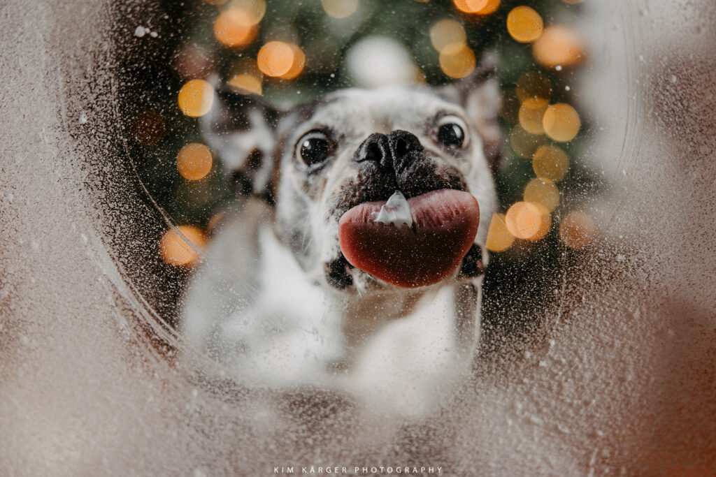 Winterlicher Fotografen-Stammtisch