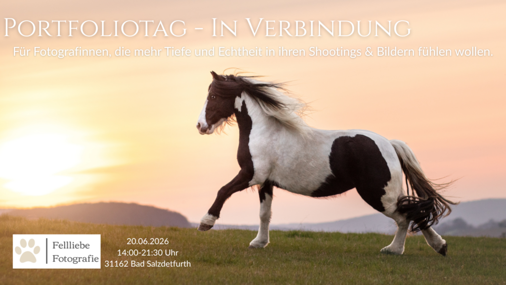 Portfoliotag - In Verbindung