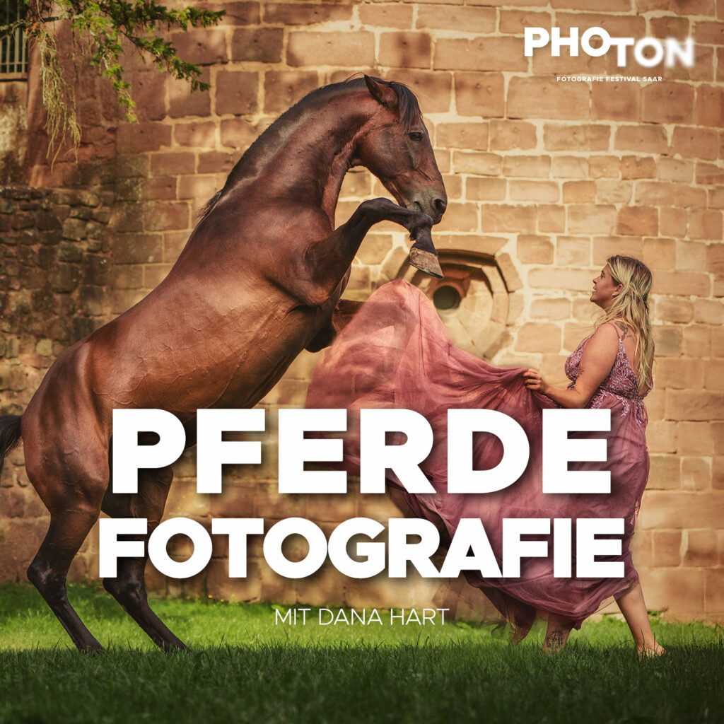 Pferdefotografie Workshop