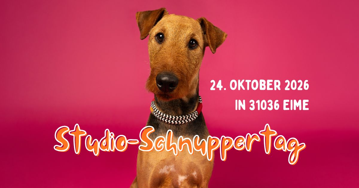 Studio-Schnuppertag
