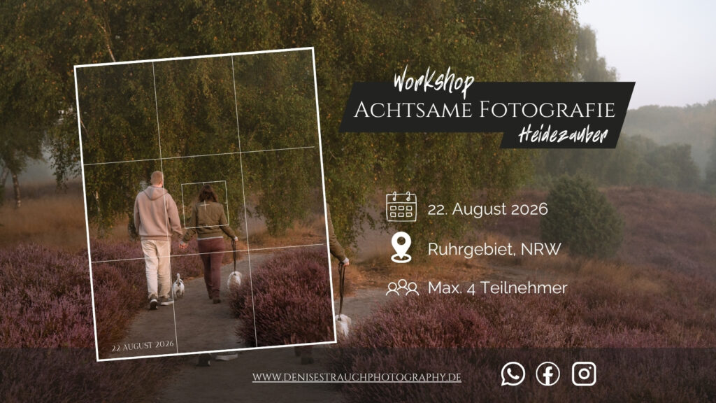 Sehen. Fühlen. Fotografieren. - Achtsame Fotografie in der Heide